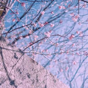 اهنگ ماشین فقط سمند سورن ریمیکس اینستا اهنگ ماشین فقط سمند سورن ریمیکس اینستا