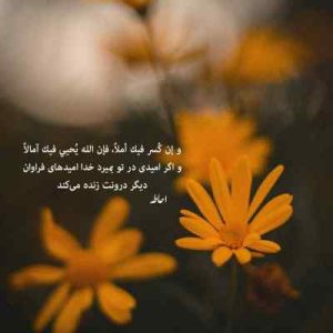 دانلود آهنگ رئوف و فایک can’t buy me loving la la la دانلود آهنگ رئوف و فایک can’t buy me loving la la la