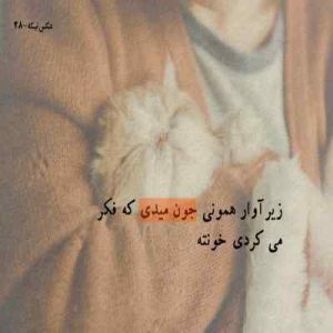 دانلود اهنگ علیرضا قربانی فکر زنجیری کنید ای عاقلان بوی گیسویی مرا دیوانه کرد دانلود اهنگ علیرضا قربانی فکر زنجیری کنید ای عاقلان بوی گیسویی مرا دیوانه کرد