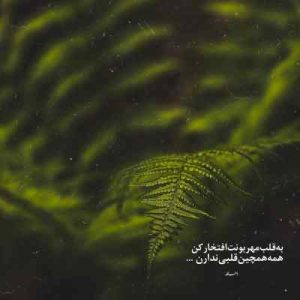 دانلود آهنگ دلمو شکوندی برو حالشو ببر MP3 کیفیت اصلی دانلود آهنگ دلمو شکوندی برو حالشو ببر MP3 کیفیت اصلی