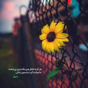 دانلود آهنگ فریدون آسرایی یه روز از تو جون گرفتم یه روز از تو دل بریدم دانلود آهنگ فریدون آسرایی یه روز از تو جون گرفتم یه روز از تو دل بریدم