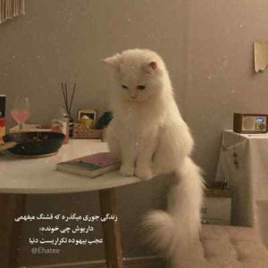 دانلود آهنگ محمدرضا شجریان مرا به هیچ بدادی دانلود آهنگ محمدرضا شجریان مرا به هیچ بدادی