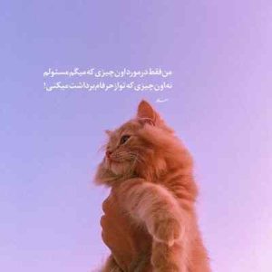 دانلود آهنگ تک تک غفور غفور با صدای بچه دانلود آهنگ تک تک غفور غفور با صدای بچه